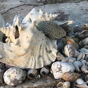 Meet your Posher, Lynne